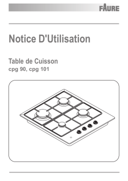 Faure CPG101N Manuel utilisateur