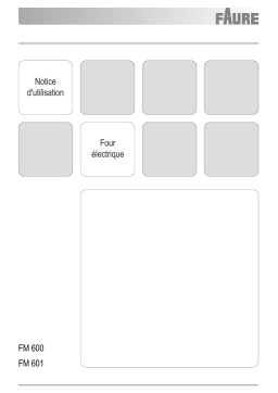 Faure FM600N/1 Manuel utilisateur