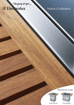 EGL6000X, EGL9000X Electrolux Barbecue &agrave; Gaz: Chat IA et PDF