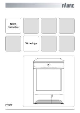 Faure FTE280 Manuel utilisateur