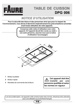 Faure DPG006X Manuel utilisateur