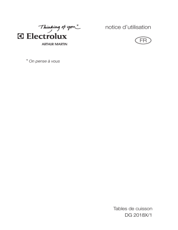 ARTHUR MARTIN ELECTROLUX DG2018X/1 Manuel utilisateur | Fixfr