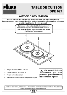 Faure DPE027X Manuel utilisateur