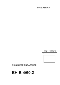 Therma EH B 4/60.2 Manuel utilisateur