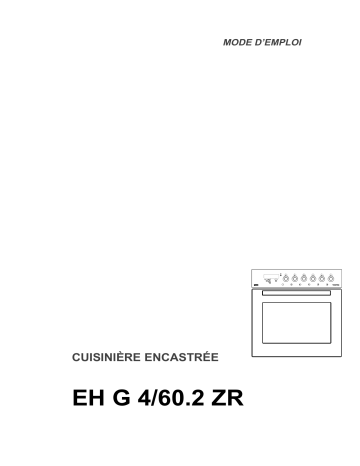 Therma EH G 4/60.2 ZR Manuel utilisateur | Fixfr