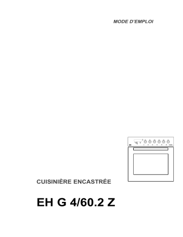 EH G4/60.2 Z SW | Therma EH G4/60.2 Z WS Manuel utilisateur | Fixfr