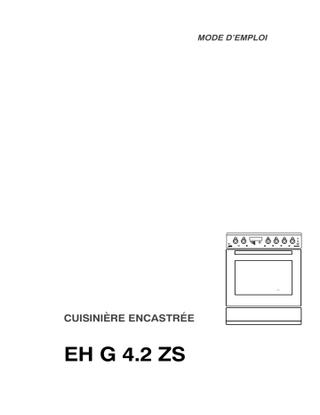 EHG4.2ZSSW | Electrolux EHG4.2ZSWS Manuel utilisateur | Fixfr