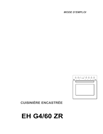EHG4/60ZR CN | EHG4/60ZR SW | Therma EHG4/60ZR WS Manuel utilisateur | Fixfr