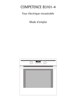 AEG B3101-4-M EURO Manuel utilisateur