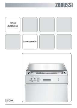 Zanussi ZDI200X Manuel utilisateur