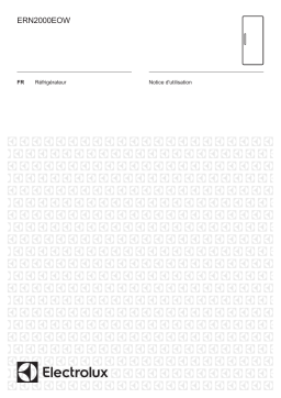 Electrolux ERN2000EOW Manuel utilisateur