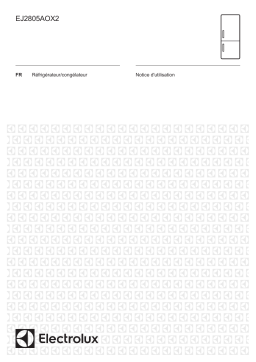 Electrolux EJ2805AOX2 Manuel utilisateur