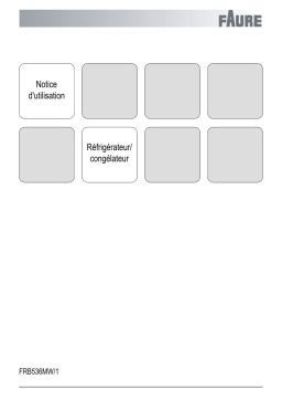 Faure FRB536MW/1 Manuel utilisateur