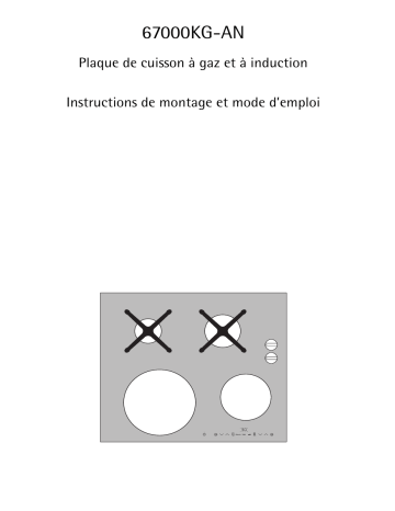 Aeg-Electrolux 67000KG-AN Manuel utilisateur | Fixfr