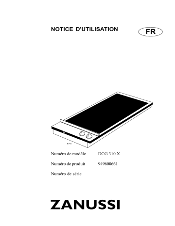 DCG310X | Electrolux EHB337X Manuel utilisateur | Fixfr