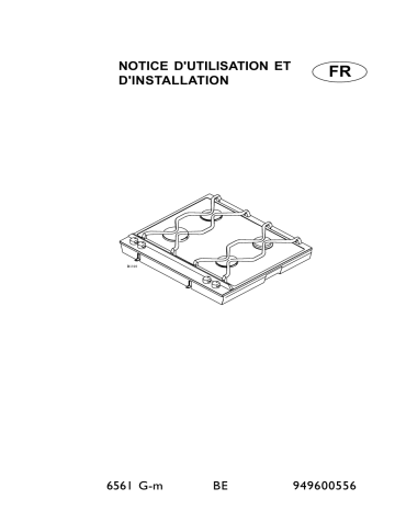 AEG 6561GM Manuel utilisateur | Fixfr