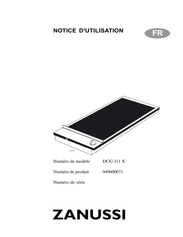 Zanussi DCG311X Manuel utilisateur | Fixfr