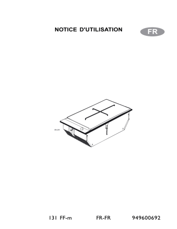 AEG 131FF-M Manuel utilisateur | Fixfr