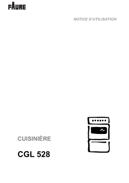 Faure CGL528W Manuel utilisateur