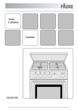 Faure CGC4010W Manuel utilisateur