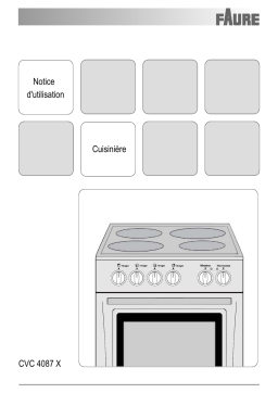 Faure CVC 4087X Manuel utilisateur