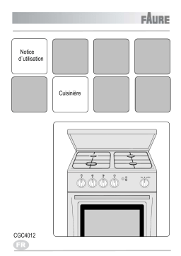 Faure CGC4012S Manuel utilisateur