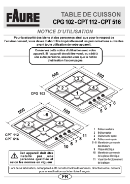 Faure CPT516R Manuel utilisateur