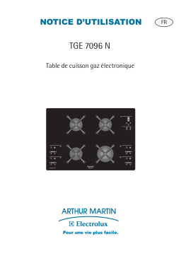 ARTHUR MARTIN ELECTROLUX TGE7096N Manuel utilisateur