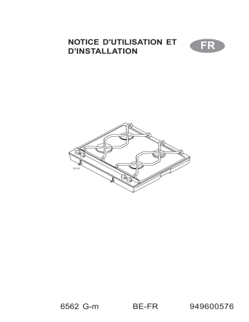 AEG 6562G-M Manuel utilisateur | Fixfr