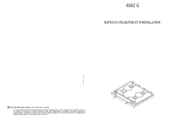 Aeg-Electrolux 6562G-M Manuel utilisateur