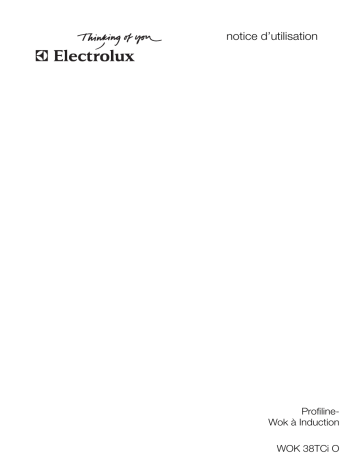 Electrolux WOK38TCIO Manuel utilisateur | Fixfr