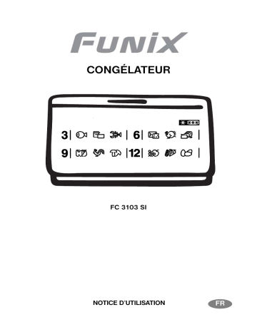 Funix FC4003 Manuel utilisateur | Fixfr