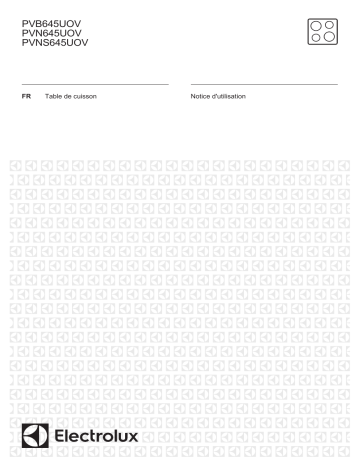 Electrolux PVN645UOV Manuel utilisateur | Fixfr