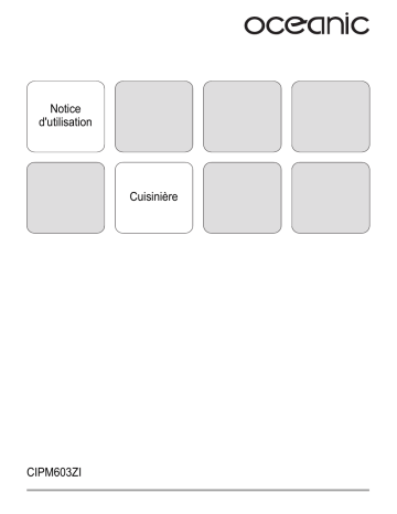 Iee OCEACIPM60 Manuel utilisateur | Fixfr