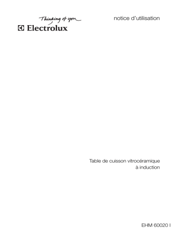 Electrolux EHM60020I Manuel utilisateur | Fixfr