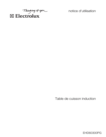 Electrolux EHD60300PG Manuel utilisateur | Fixfr