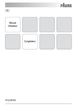 Faure FFU216FWO Manuel utilisateur