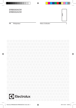 Electrolux ERB5002AOW Manuel utilisateur