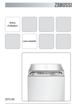 Zanussi ZDTS300 Manuel utilisateur