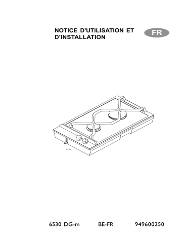 AEG 6530DG-M Manuel utilisateur | Fixfr