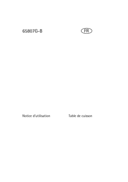 AEG 65807G-B Manuel utilisateur
