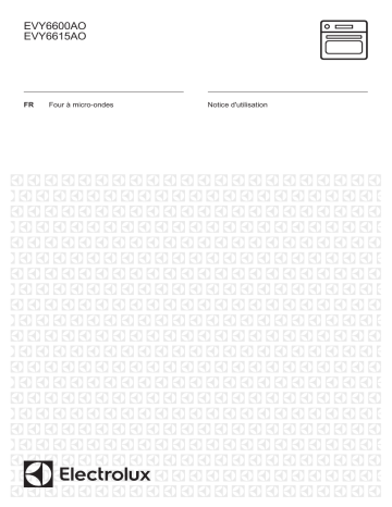 Electrolux EVY6600AOX Manuel utilisateur | Fixfr