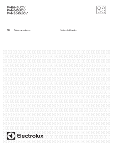 PVNS645UOV | Electrolux PVN645UOV Manuel utilisateur | Fixfr