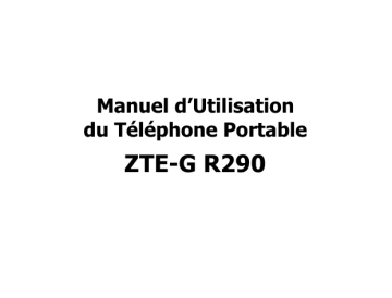 ZTE R290 Manuel utilisateur | Fixfr