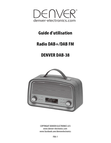 Denver DAB-38GREY DAB  & FM radio Manuel utilisateur | Fixfr