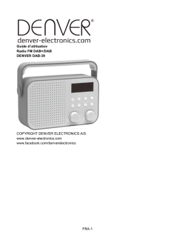 Denver DAB-39GREY DAB /FM radio Manuel utilisateur