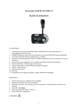 Denver DAB-11 DAB  receiver Manuel utilisateur