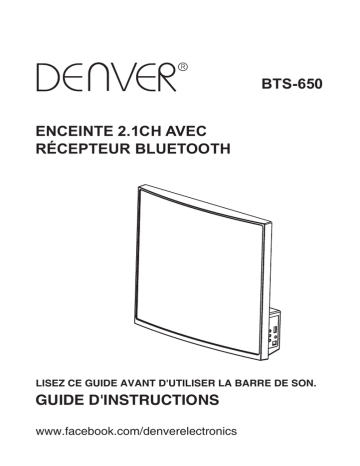 Denver BTS-650WHITE Wallmountable Bluetooth speaker Manuel utilisateur | Fixfr