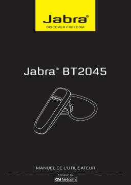 Jabra BT2045 Manuel utilisateur