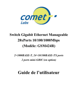 Comet Switch GSM424R Manuel utilisateur